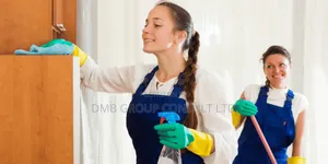 Cleaners Here for Cleaning Services