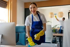 Home Home Cleaners