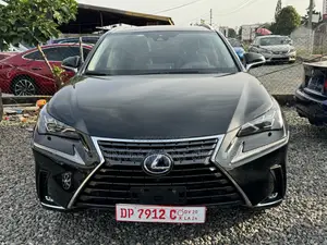 Lexus NX 300h 2020 Black