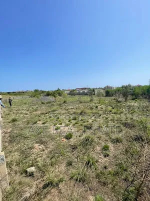 Free Court Certified Document on Plot at Afienya - Shai Hills