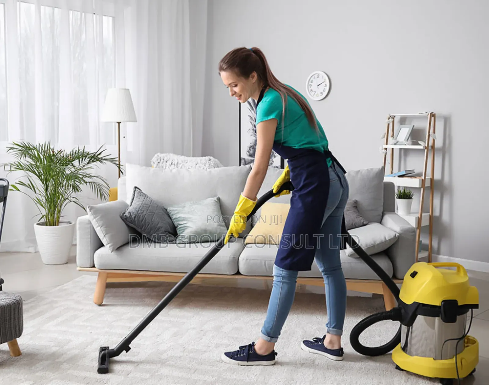 Home 33 Home Cleaner