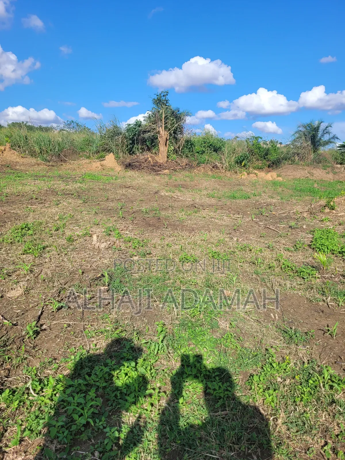 Plot for Sale at Santa'si Darko
