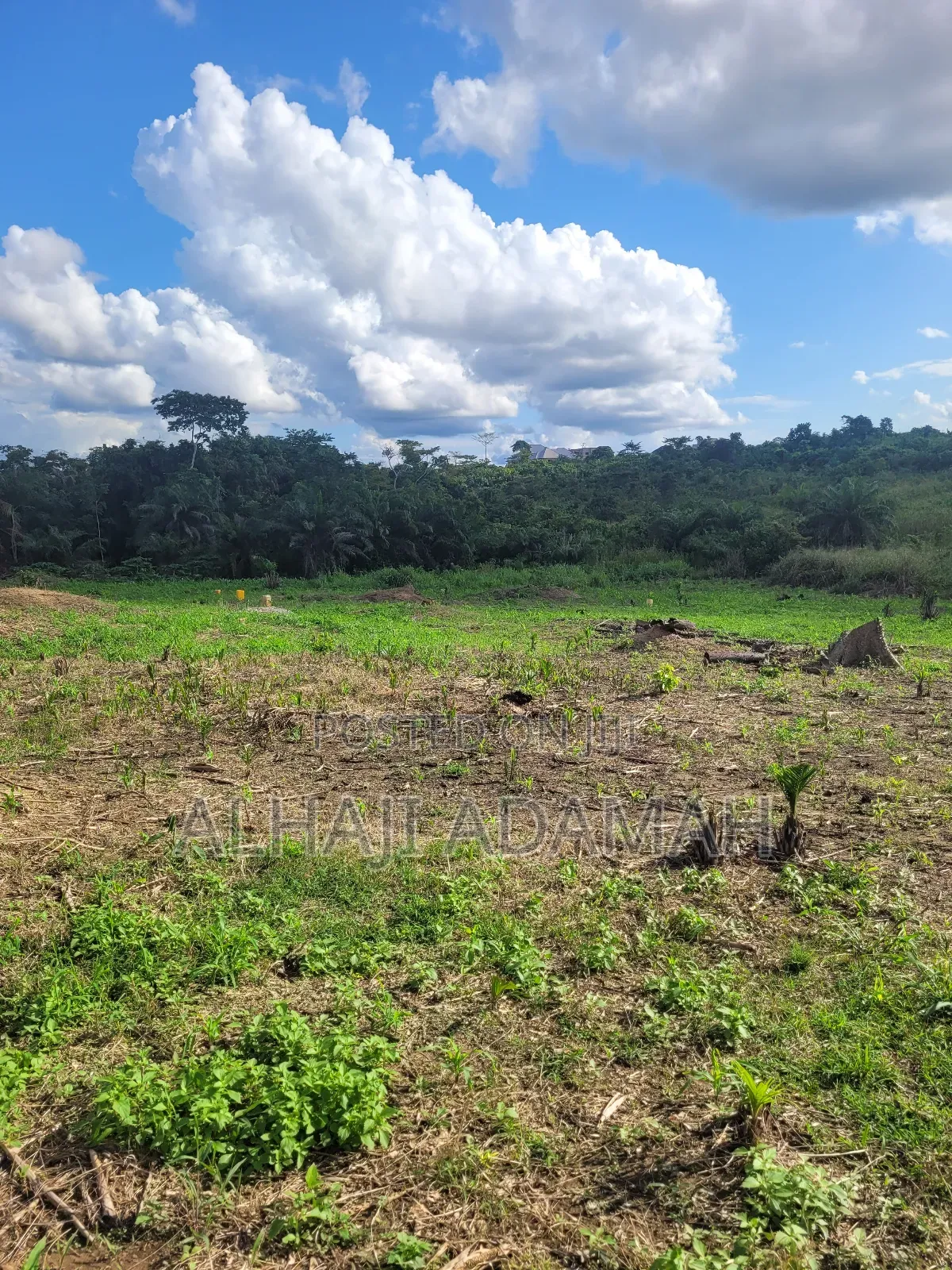 Plot for Sale at Santa'si Darko