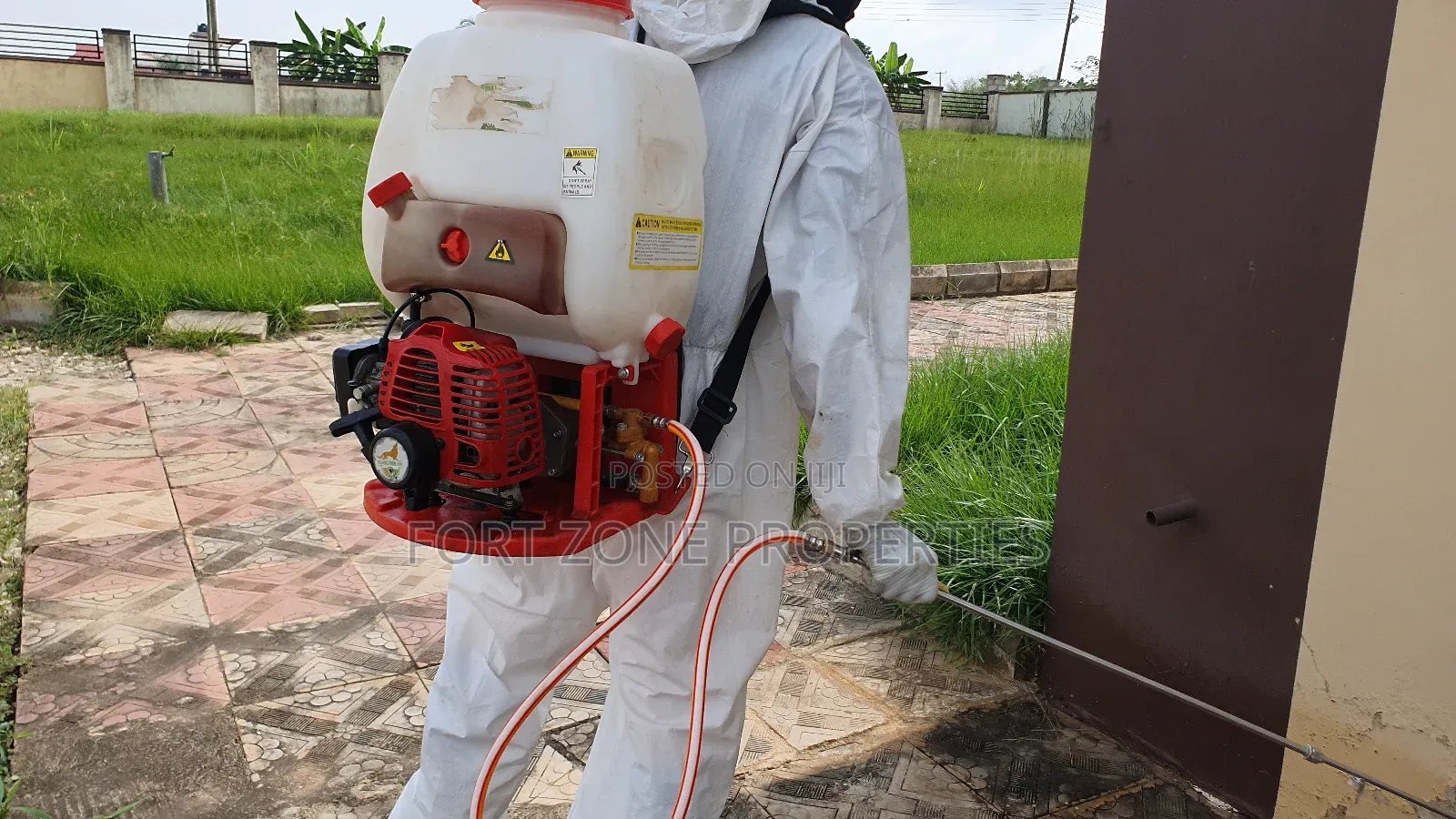 Free Your Home From Insect Now