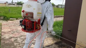 Free Your Home From Insect Now
