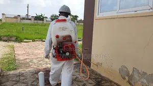 Free Your Home From Insect Now