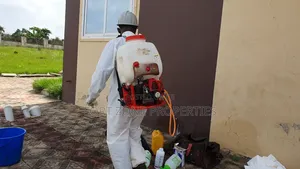Free Your Home From Insect Now