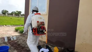 Free Your Home From Insect Now