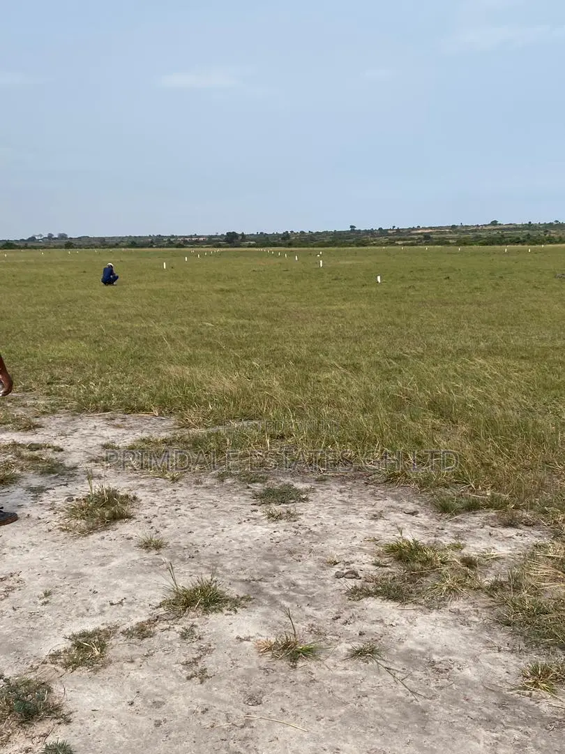 Genuine Estate Land for Sale at Tsopoli