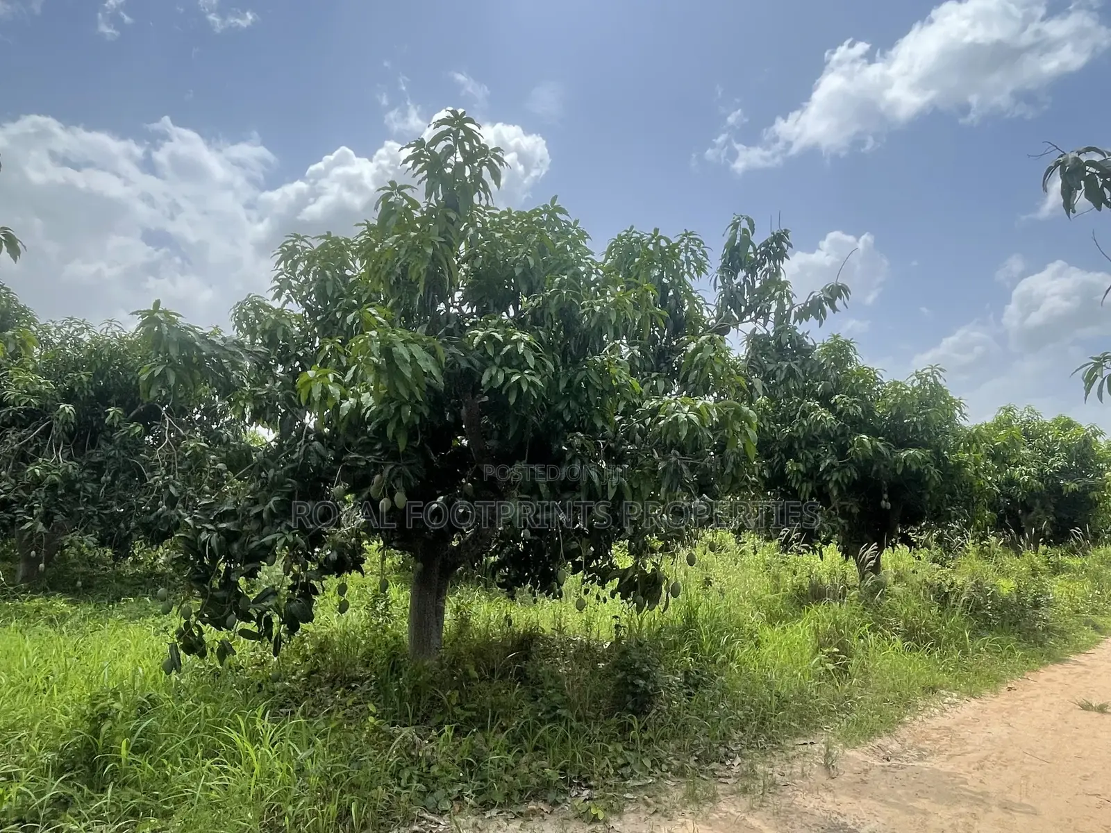 5 Acres of a Titled Land Up for Sale