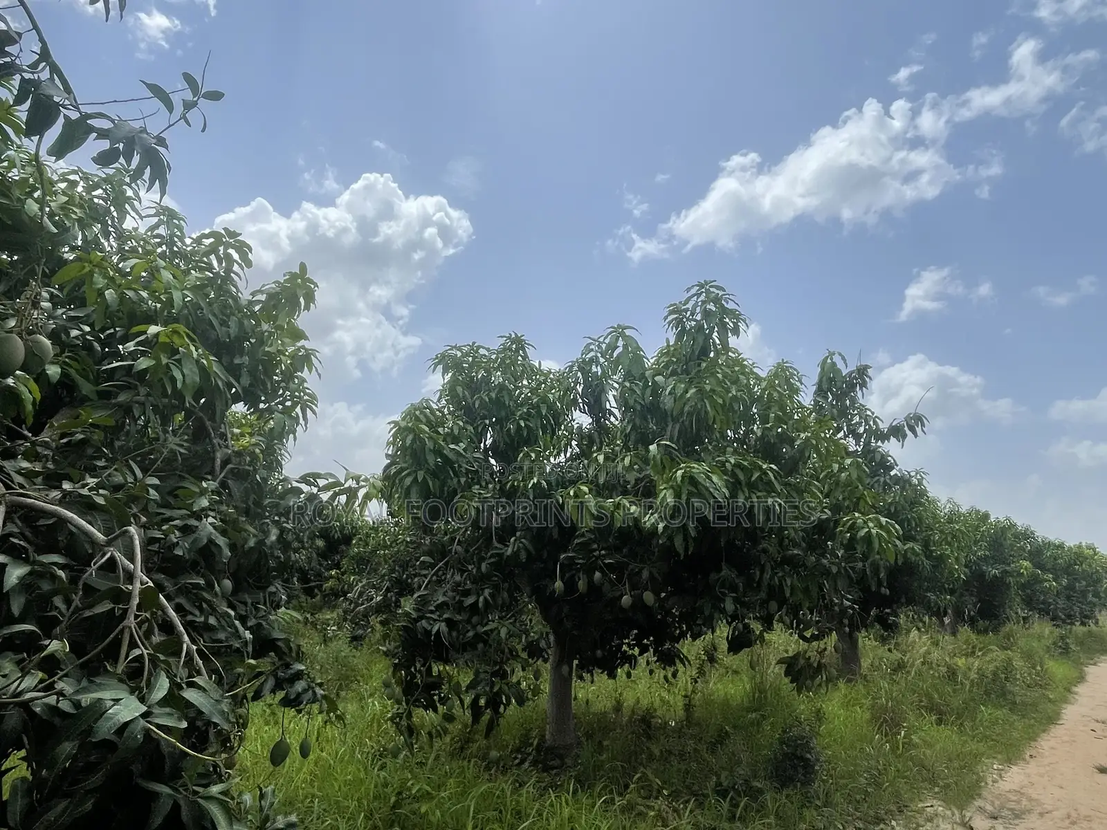5 Acres of a Titled Land Up for Sale