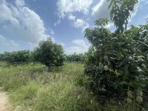 5 Acres of a Titled Land Up for Sale
