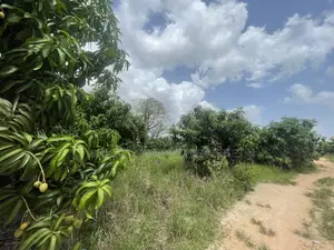 5 Acres of a Titled Land Up for Sale