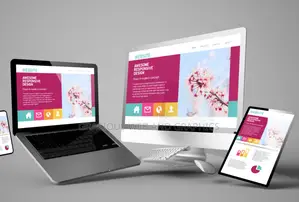 Professional Web Design That Works for You