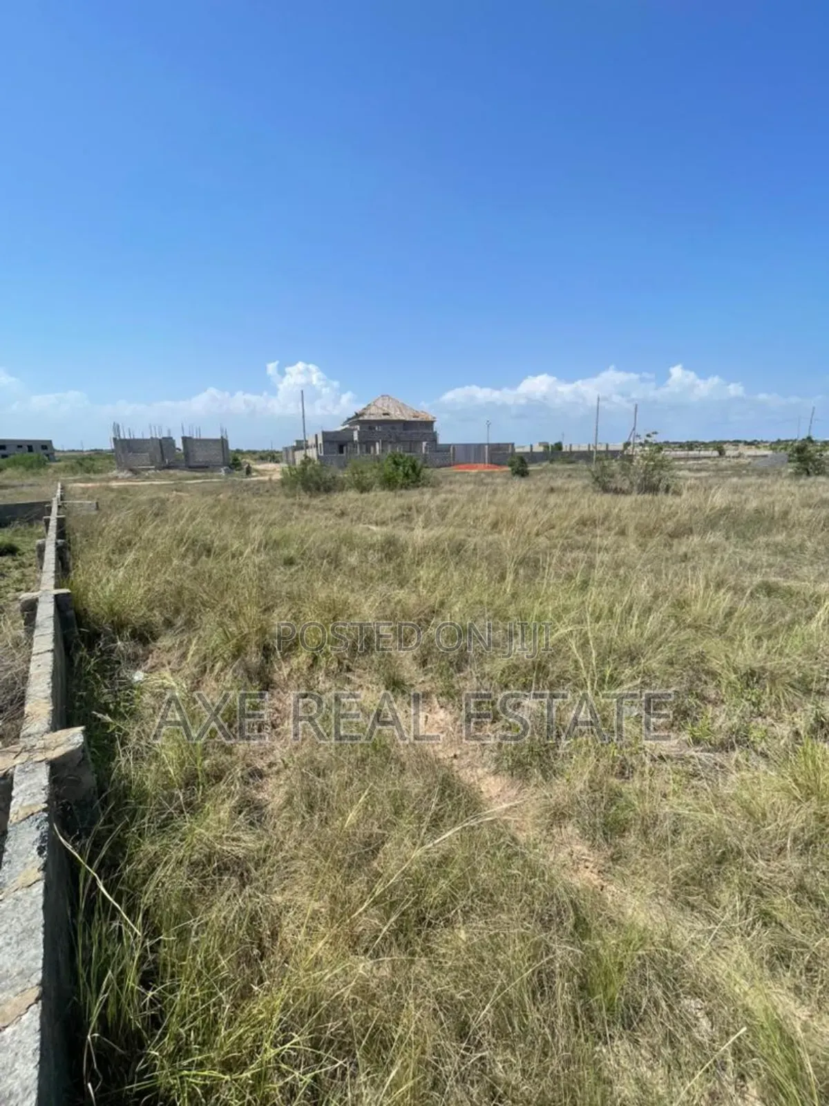 Amazing Land + Free Documents - Tema Community 25