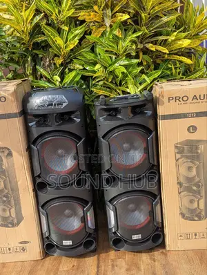 Pro Audio Dual Professional Rechargeable System With 2 Mics