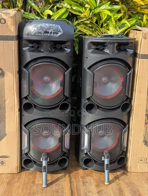 Pro Audio Dual Professional Rechargeable System With 2 Mics