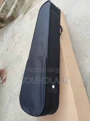 Professional Violin