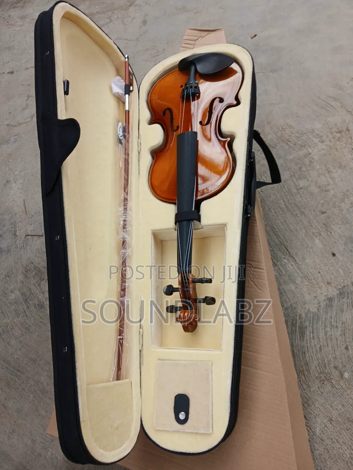 Professional Violin