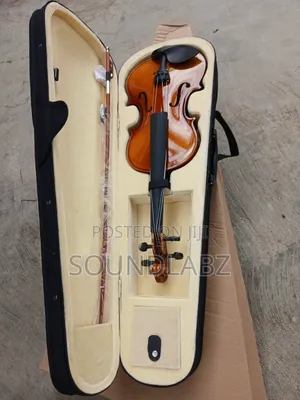 Professional Violin