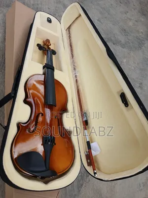 Professional Violin