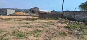 Black Friday Discount Promotion on Plot - Tema Community 25