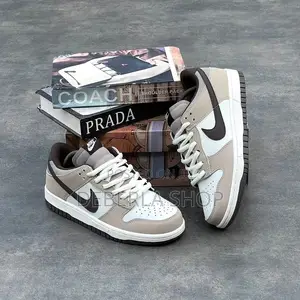 NIKE Sb Low Dunk Shoe
