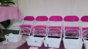 Kids Spa Parties Rentals