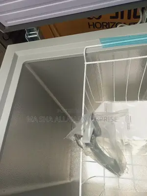100 Liters Deep Freezer (Snowsea)