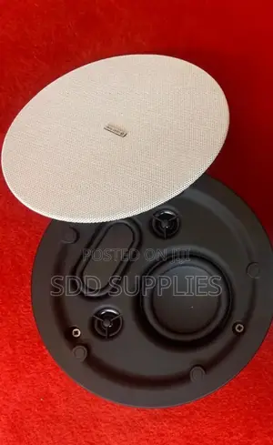 3.5" Passive Radiator Double Tweeter Ceiling Speaker