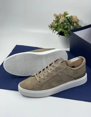 Casual Shoe (Timberland)