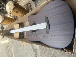 Strinberg Semi-Acoustic Guitar