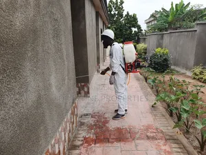 Clean Home and Office Pest Today