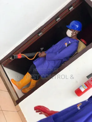 Fumigation (Pest Control) Reptiles Snake