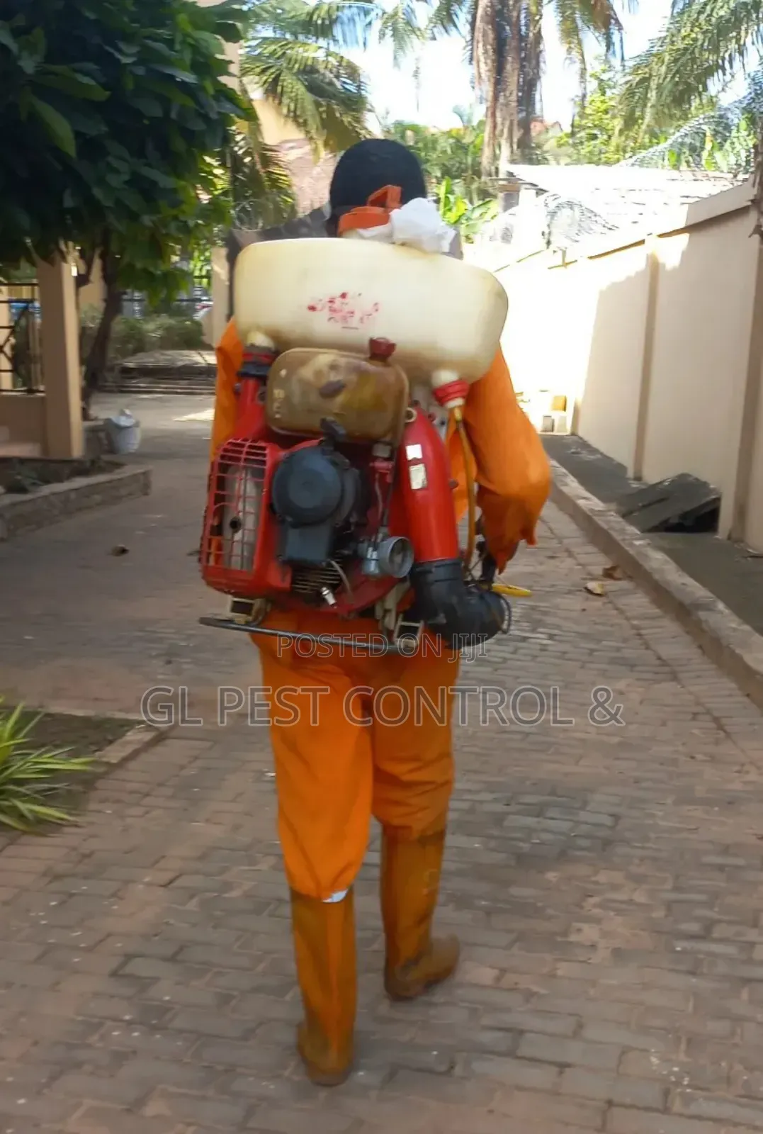Fumigation (Pest Control) Reptiles Snake