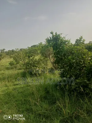 10,000 Acres Farm Land for Sale