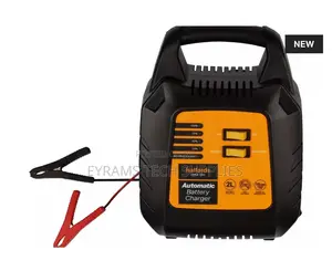 Halfords Fully Automatic Charger
