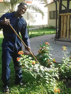 Tony Horticulture Works
