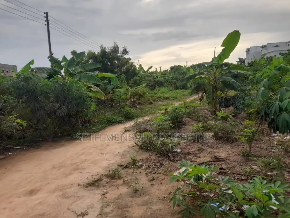 6 Plot of Land for Sale at Tseaddo