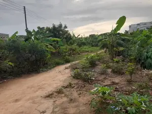 6 Plot of Land for Sale at Tseaddo