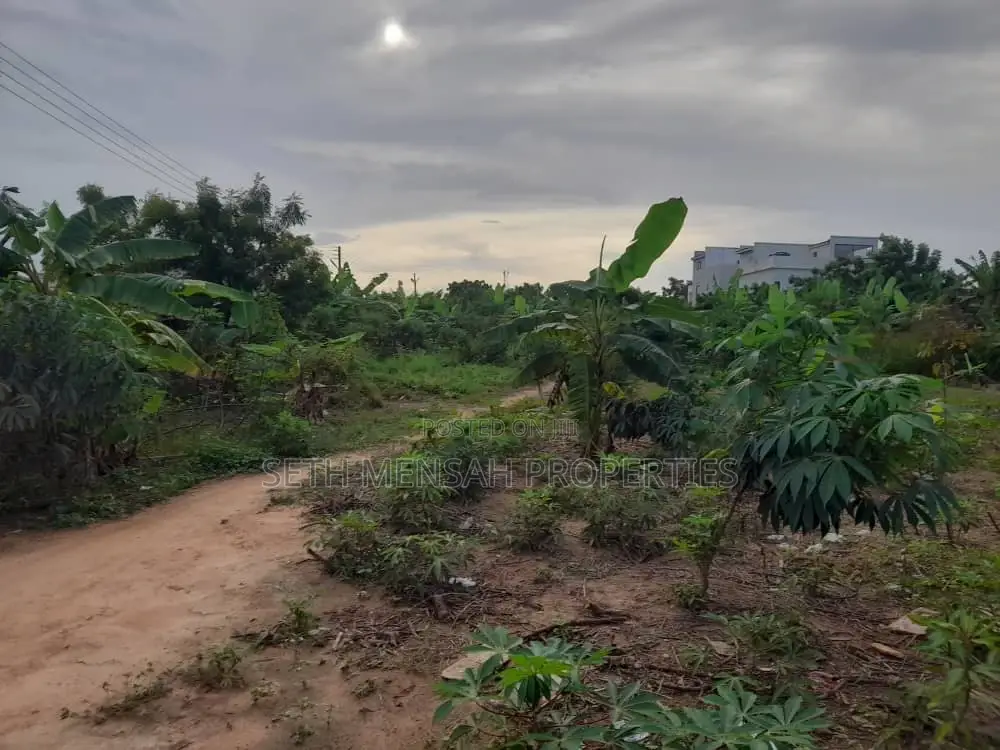 6 Plot of Land for Sale at Tseaddo