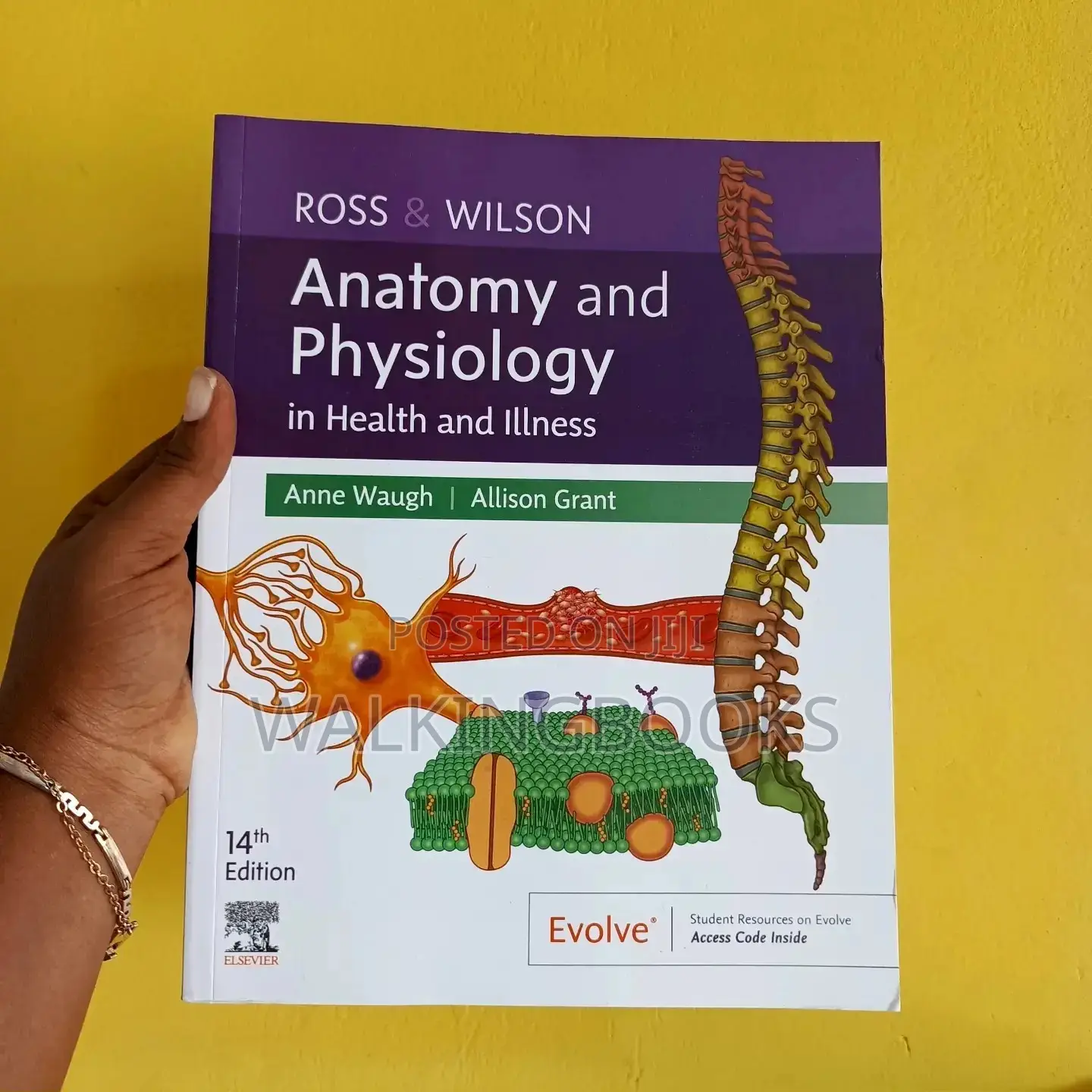 Ross Wilson Anatomy and Physiology in Health and Illness