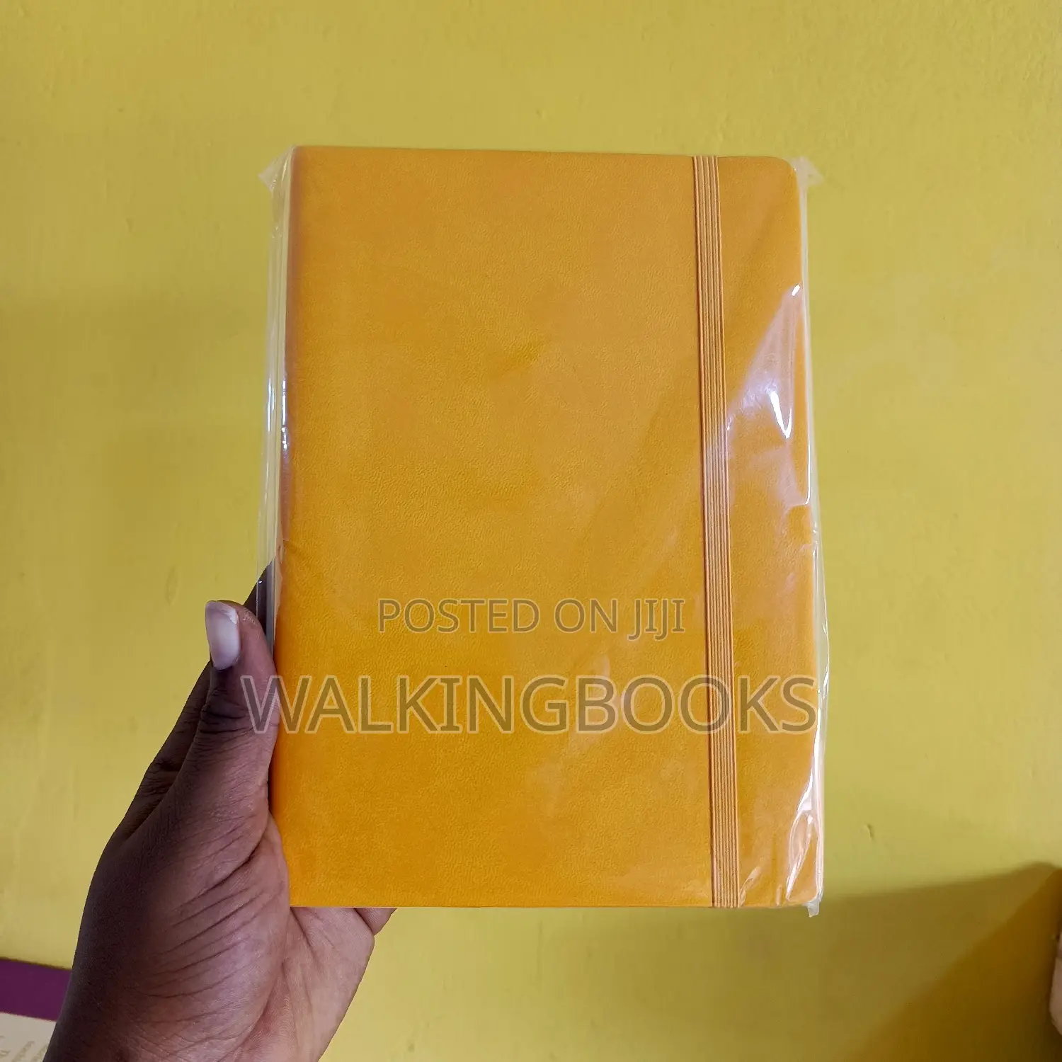 Beautiful Diaries