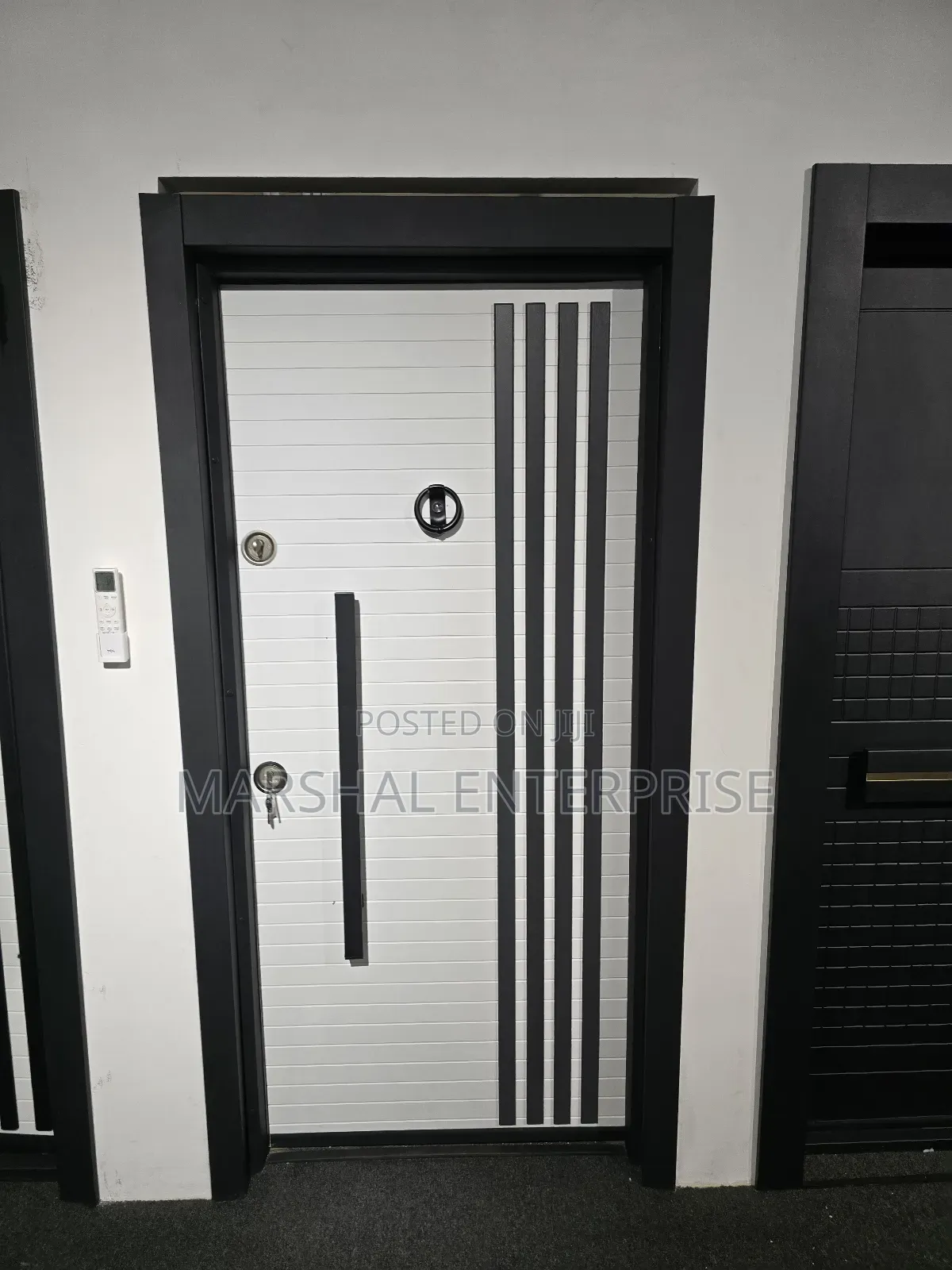 Exclusive Security Door Design