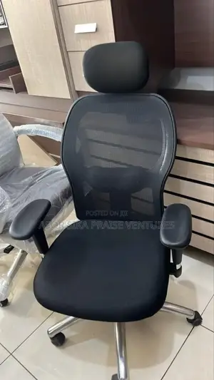Office Orthopedic Chair
