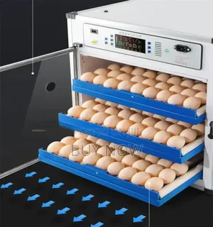 Egg Incubator(204 Capacity Automatic)