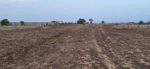 Price Drop on Available Plots at Prampram Beach Road