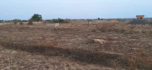 Luxurious Titled Plots / Registered at Tema Community 25