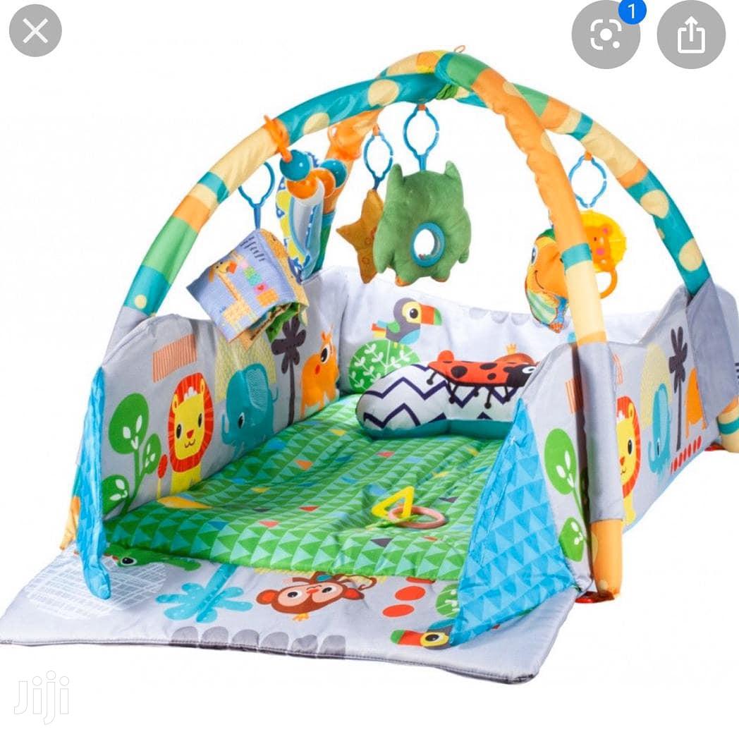 Baby Play Gym