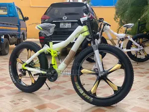 Ben Rors Mountain Fat Tire Bikes With Gold Alloy Rims